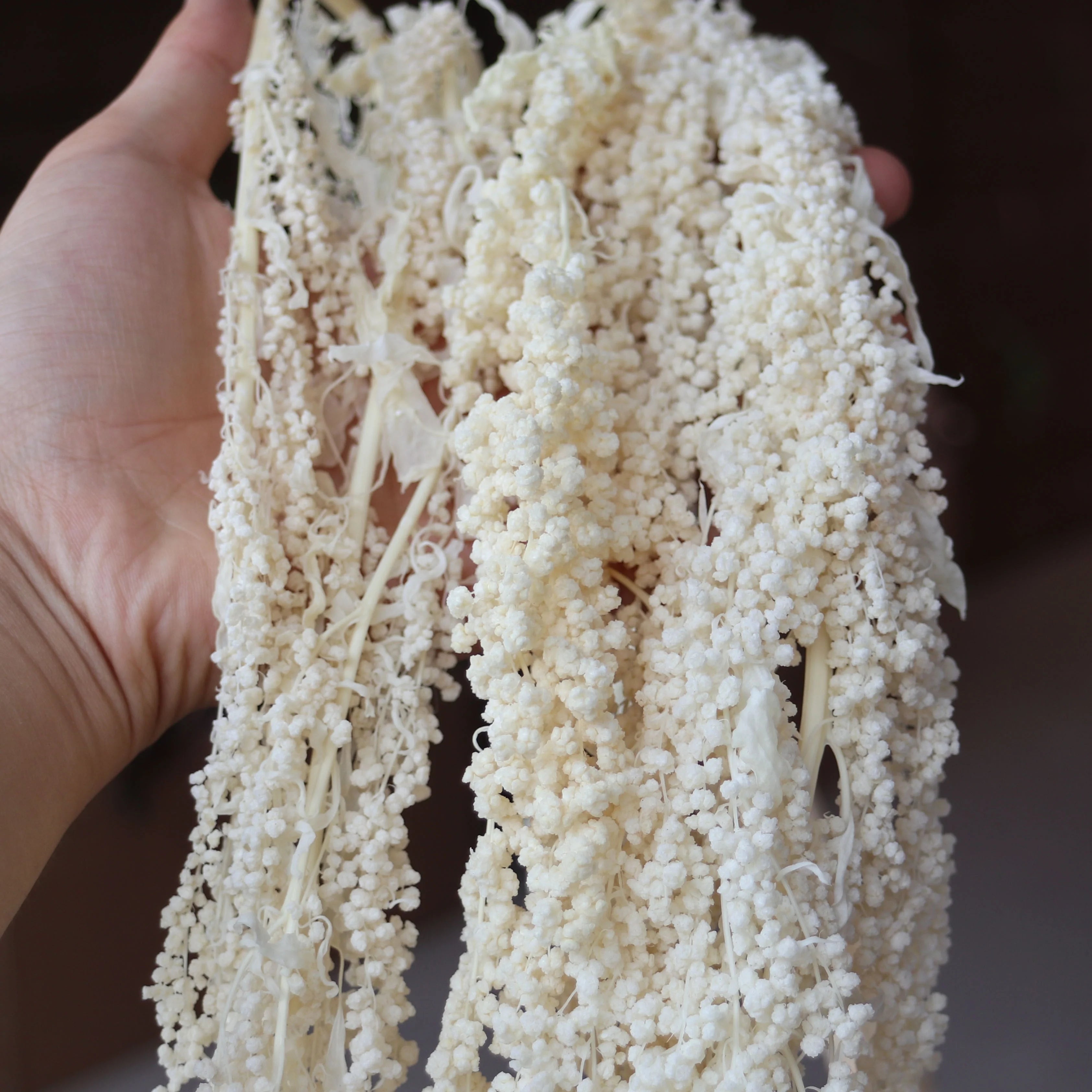 Factory Direct Price Decorative Dried Flowers Real Long Lasting Red Hanging Amaranthus for Wedding Bouquet