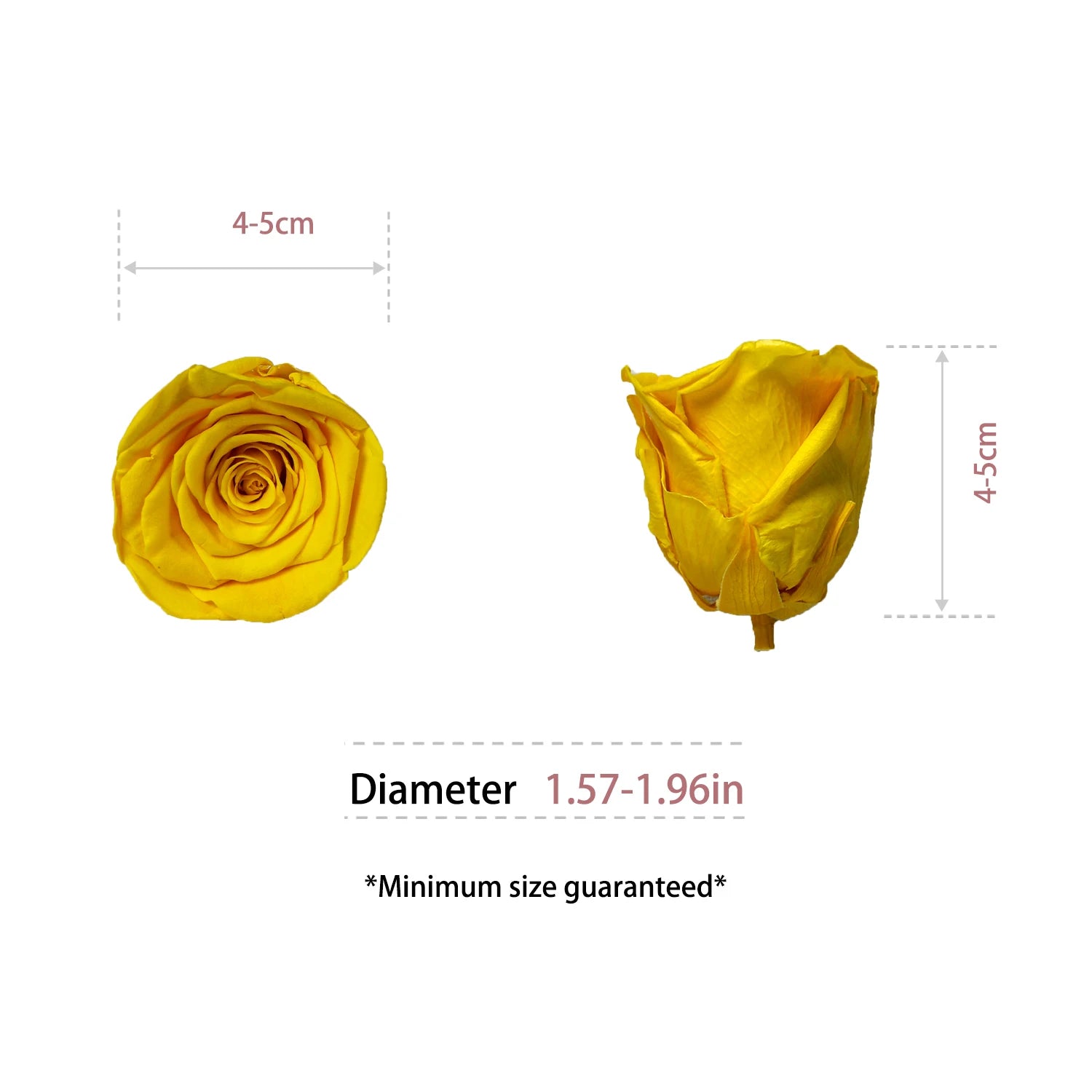 Infinity Long Lasting Dried Forever Eternal Flower Buds Preserved Roses Head for Flower Decoration