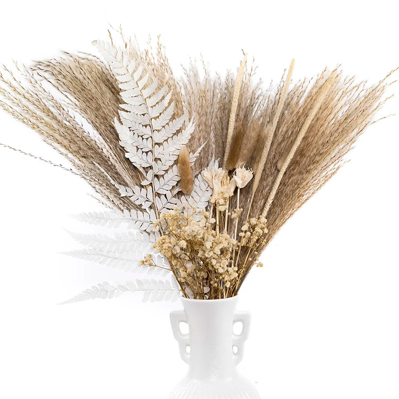 Boho Decor Bunny tails Pampass Dried Flower Arrangements Lagurus Ovatus Tall Pampas Pompas Grass Bouquet