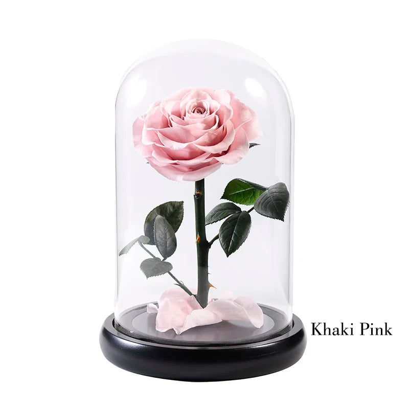 Wholesale Flor Eterna Preservada Glass Dome Black Single Preserved Beast Rose with flower long stem