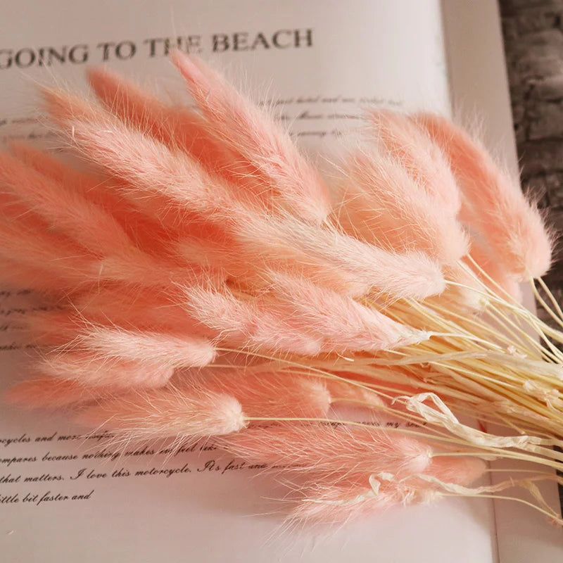 Boho Wedding Decor Bridal Bouquet Dusty Pink Dried Flowers 60 Natural Phalaris Lagurus Dried Bunny Tails