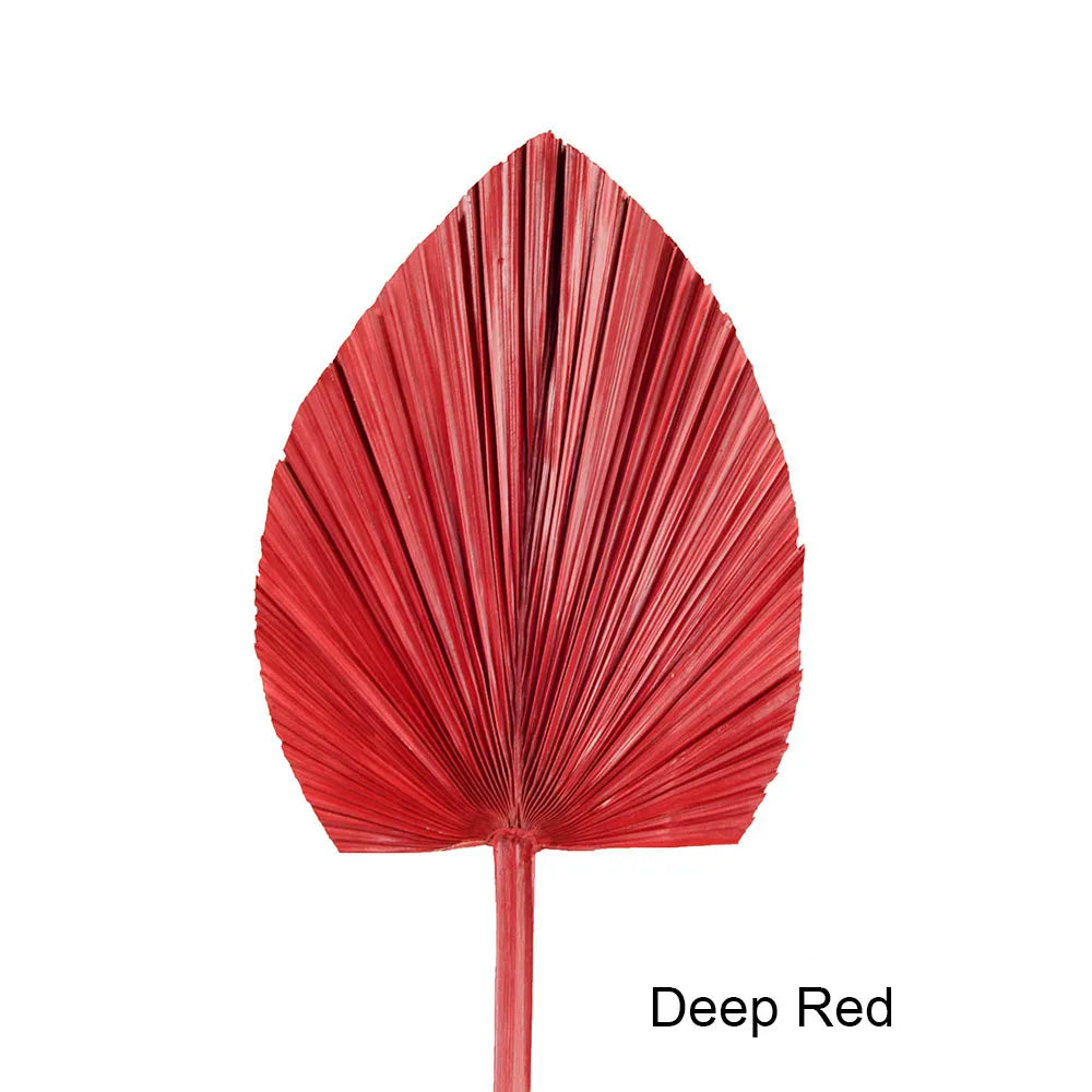 Wholesale Real Natural Blue Palm Spears Preserved Arrow Foliage Stabilized Plants Dried Palm Leaves