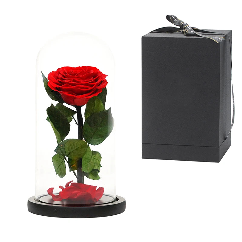 luxurious valentines day black preserved roses in glass dome gifts