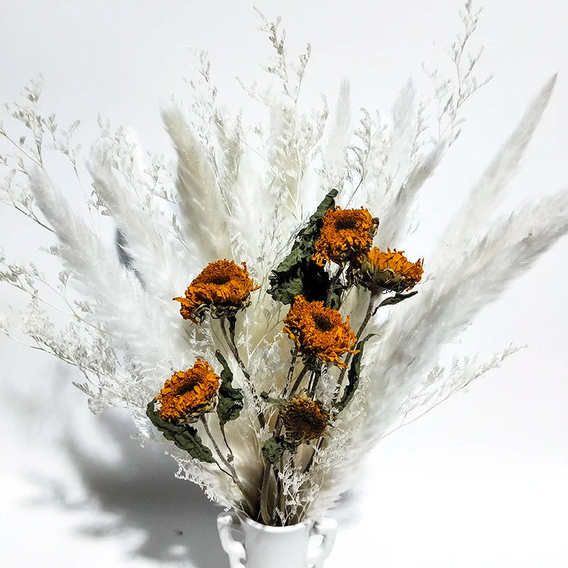 Boho Decor Bunny tails Pampass Dried Flower Arrangements Lagurus Ovatus Tall Pampas Pompas Grass Bouquet