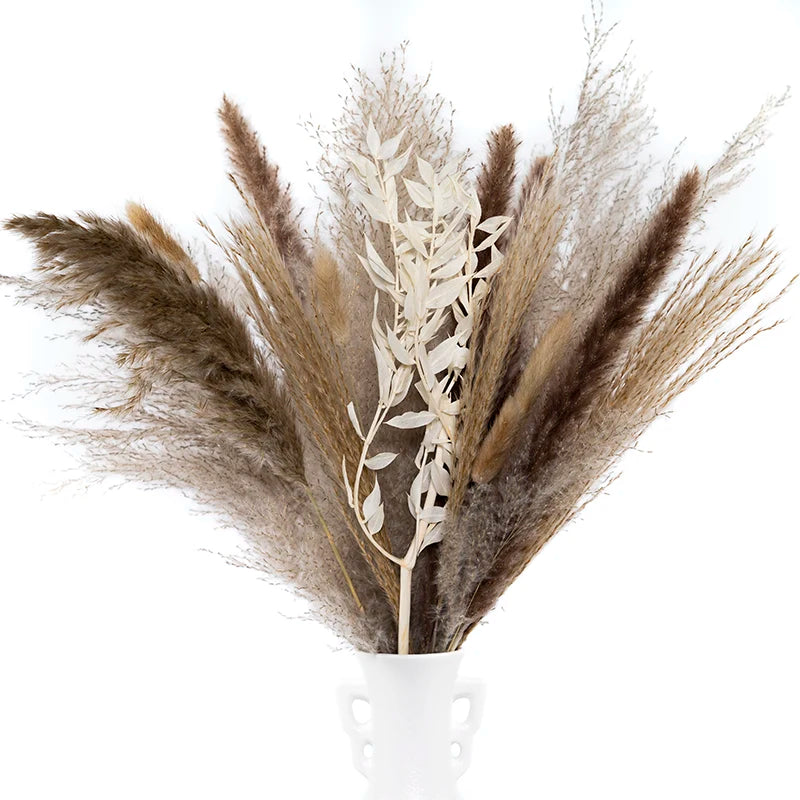 Boho Decor Bunny tails Pampass Dried Flower Arrangements Lagurus Ovatus Tall Pampas Pompas Grass Bouquet