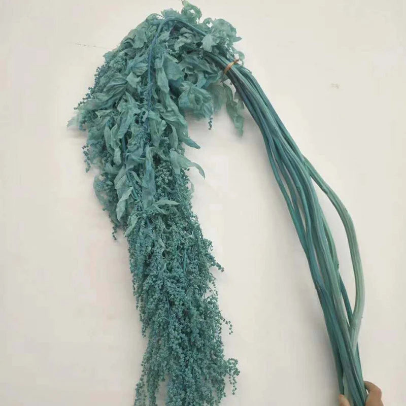 Factory Direct Price Decorative Dried Flowers Real Long Lasting Red Hanging Amaranthus for Wedding Bouquet