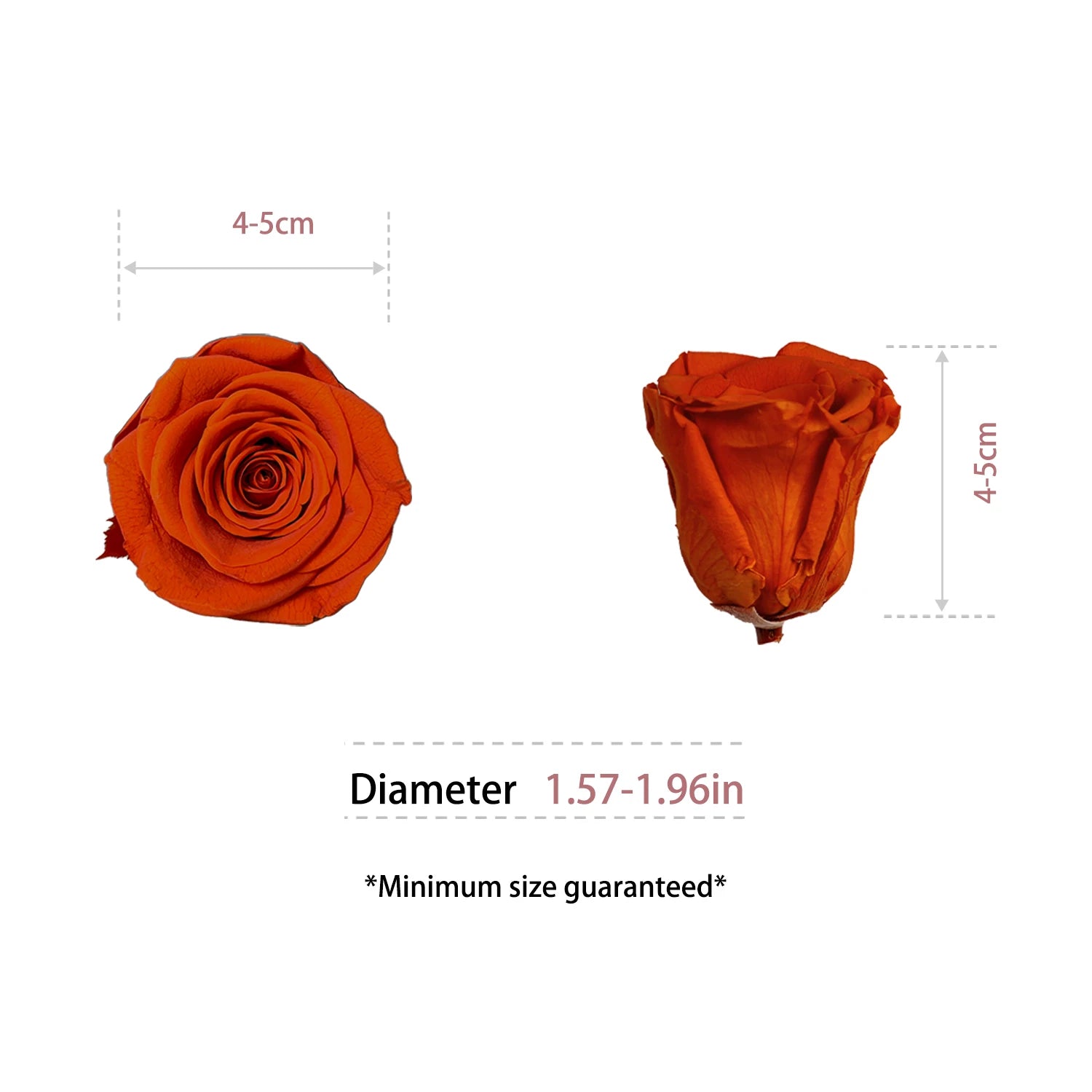 Infinity Long Lasting Dried Forever Eternal Flower Buds Preserved Roses Head for Flower Decoration