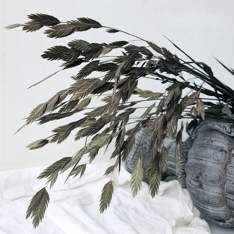Natural Decorative Dried Flowers Bouquets Grass Floral Northern Sea Oats Preserved Chasmanthium Latifolium