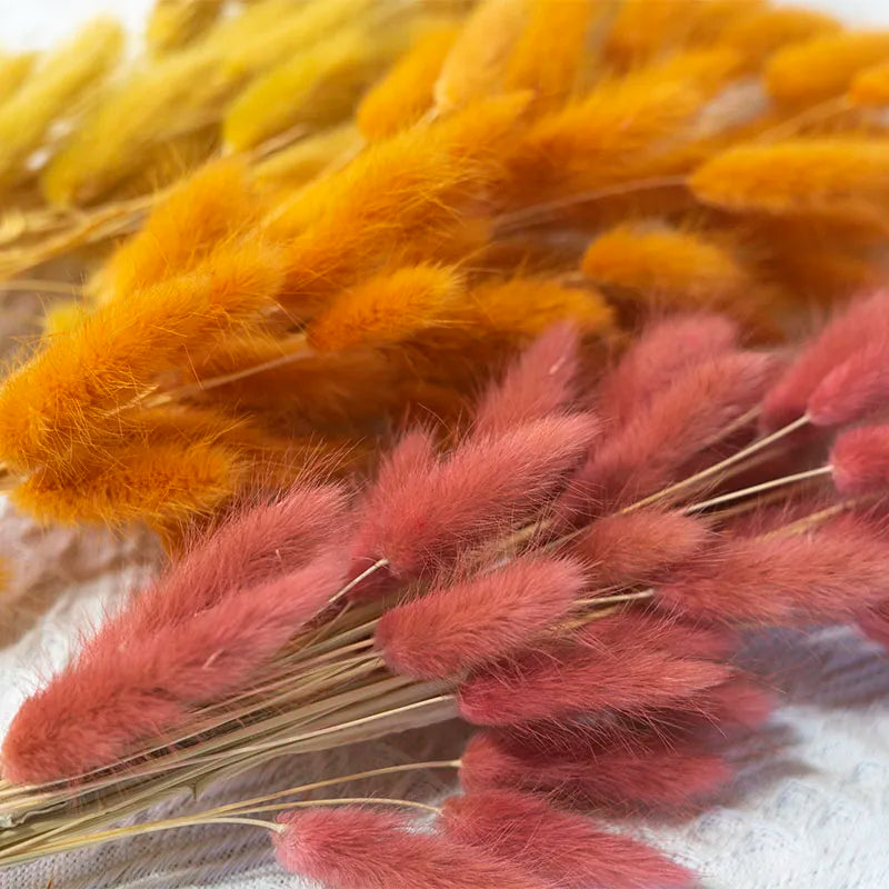 Boho Wedding Decor Bridal Bouquet Dusty Pink Dried Flowers 60 Natural Phalaris Lagurus Dried Bunny Tails