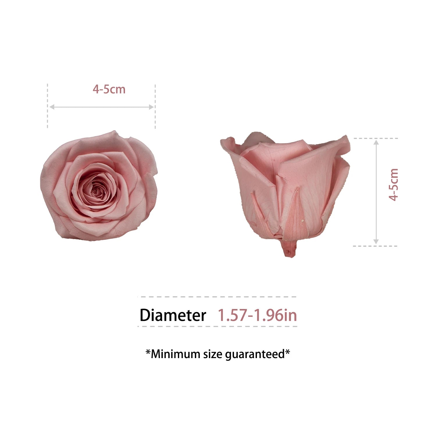 Infinity Long Lasting Dried Forever Eternal Flower Buds Preserved Roses Head for Flower Decoration