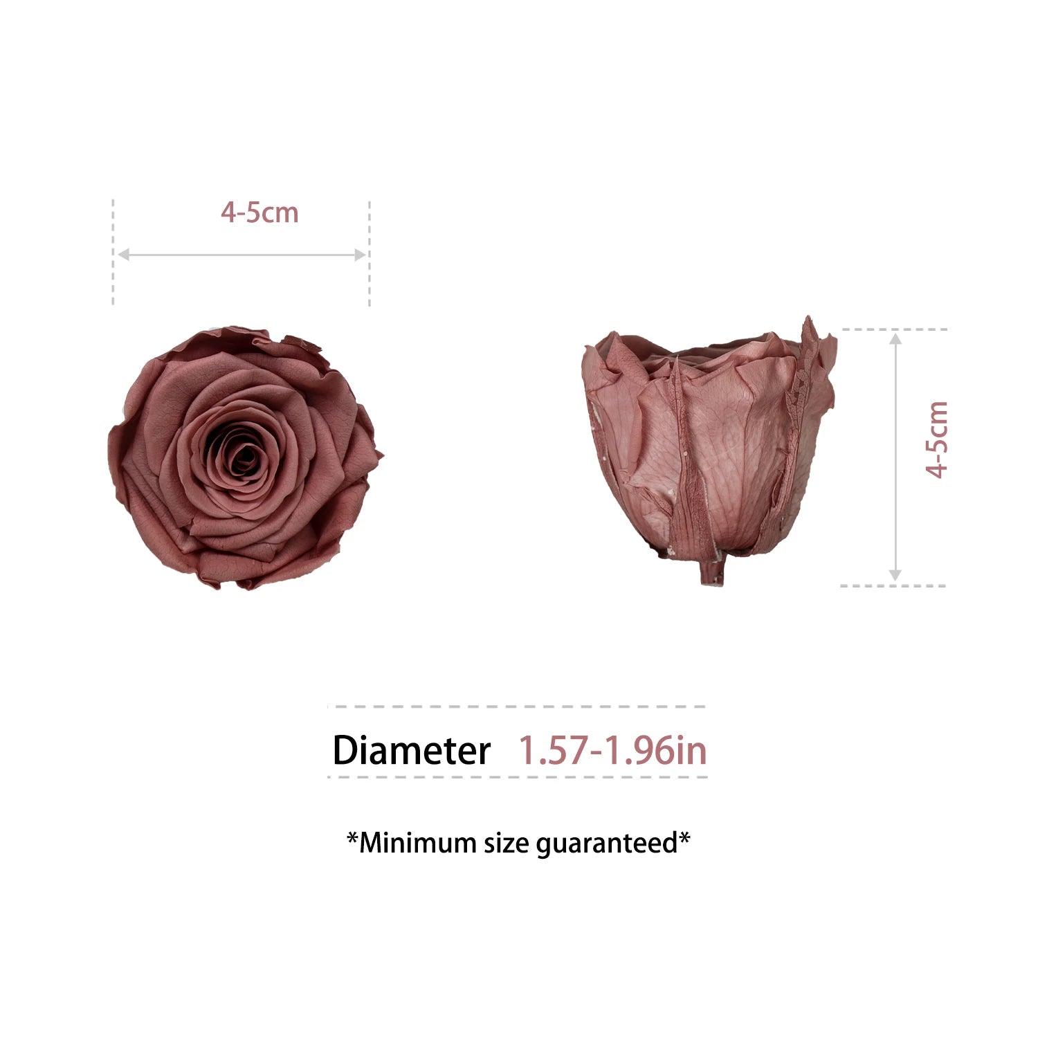 Infinity Long Lasting Dried Forever Eternal Flower Buds Preserved Roses Head for Flower Decoration