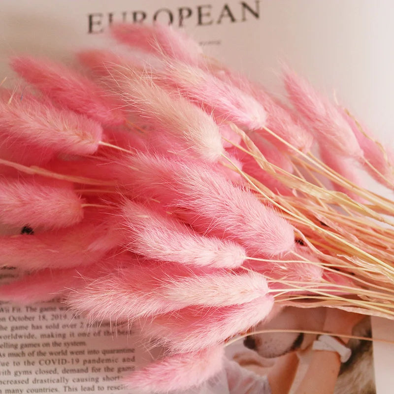 Boho Wedding Decor Bridal Bouquet Dusty Pink Dried Flowers 60 Natural Phalaris Lagurus Dried Bunny Tails