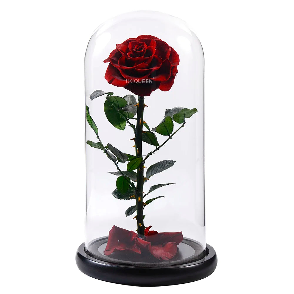 Original Factory Wholesale Price Beauty and The Beast Eternal Flower Preserved Roses in Glass Dome