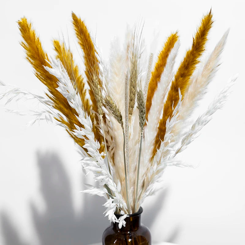 Boho Decor Bunny tails Pampass Dried Flower Arrangements Lagurus Ovatus Tall Pampas Pompas Grass Bouquet