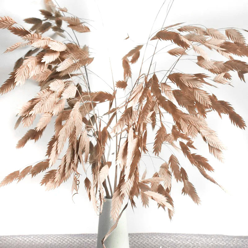 Natural Decorative Dried Flowers Bouquets Grass Floral Northern Sea Oats Preserved Chasmanthium Latifolium