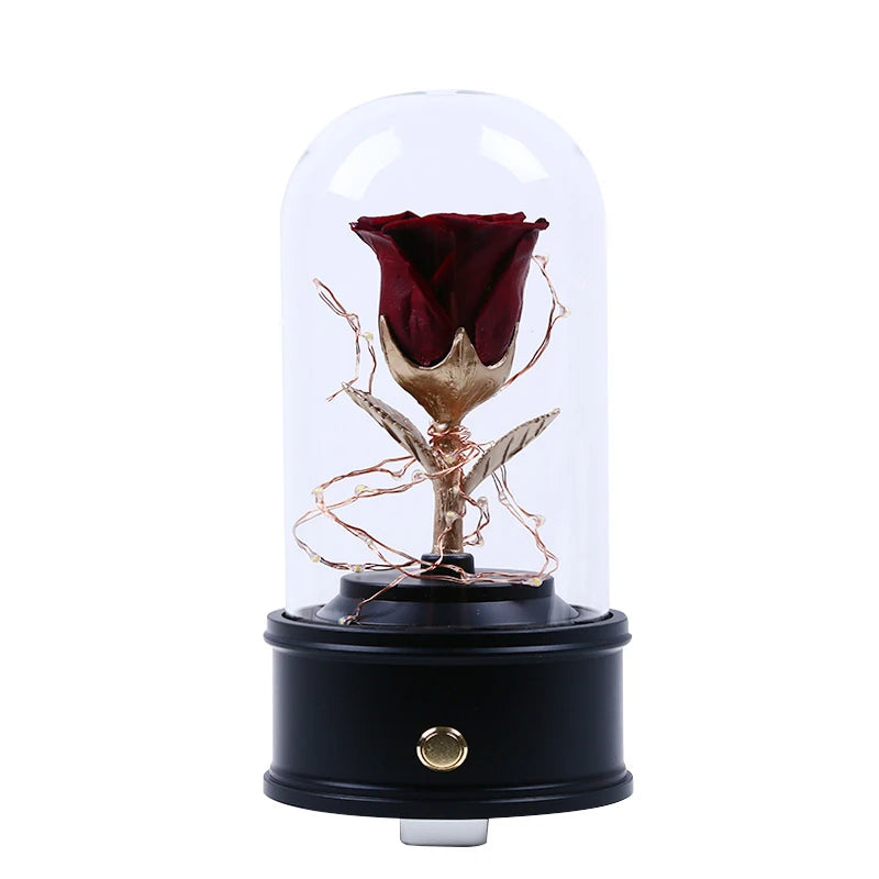 Wholesale China A grade handmade preserved roses  music box  eternal  natural flower in glass