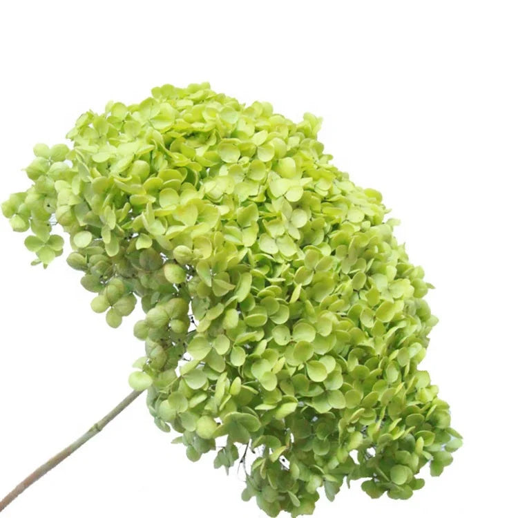 wholesale real touch hydrangea bouquet flower heads hortensias bush purple dried preserved hydrangea