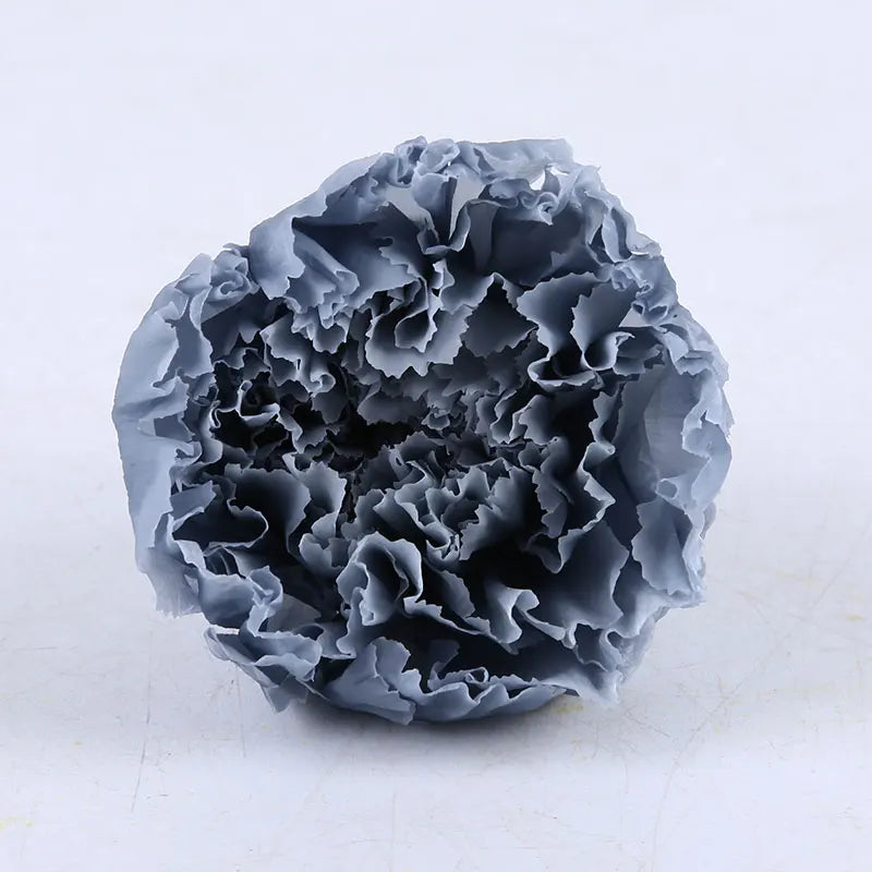 Wholesale High Quality Preserved Carnation Eternal Forever Fresh Flowers for Holiday Gift