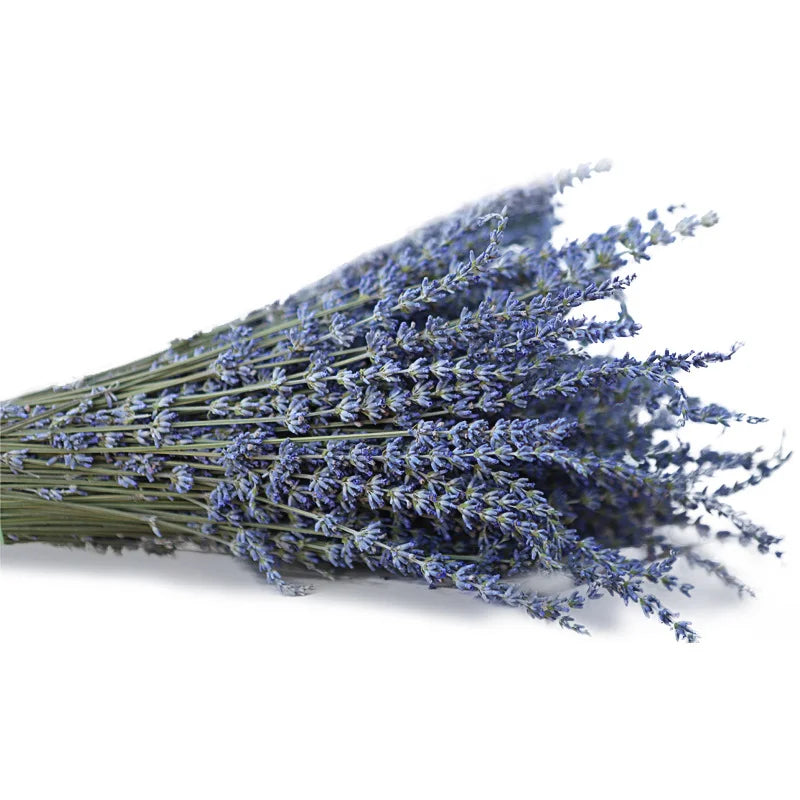 Dry Real  Natural Plant Dried Reed Flower Dried Provence Lavender Bunches for Arrangements