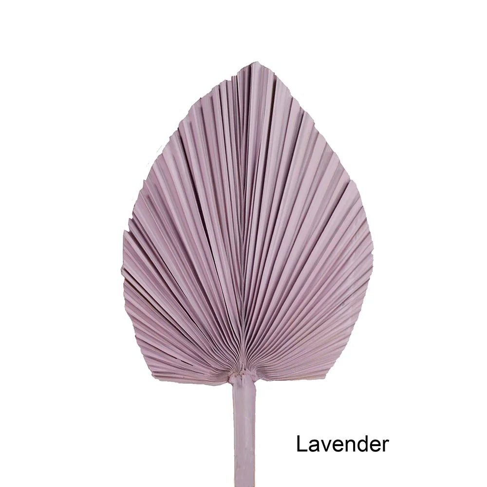 Wholesale Real Natural Blue Palm Spears Preserved Arrow Foliage Stabilized Plants Dried Palm Leaves