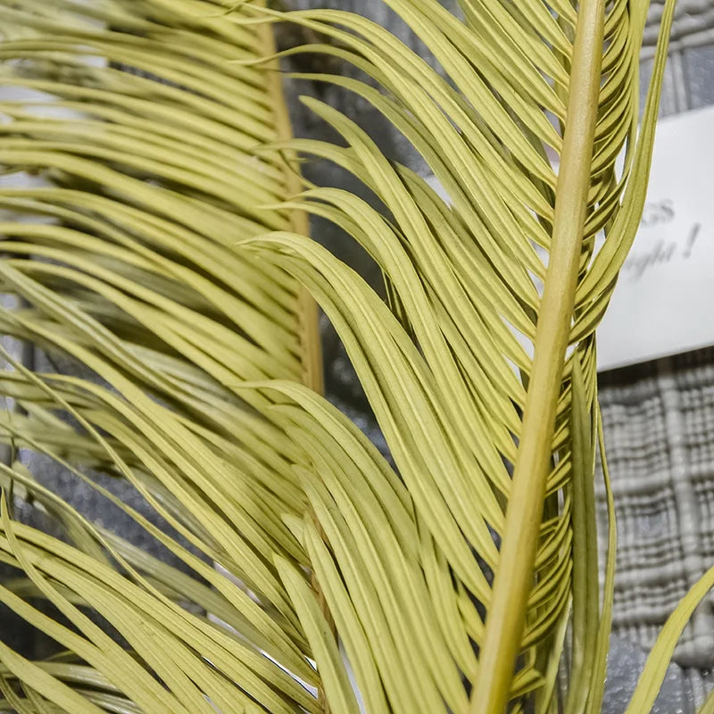 Floral Arrangement Wedding Decorative Dry Cycas Revoluta Preserved Tall Natural Leaf Dried Sago Palm Leaves
