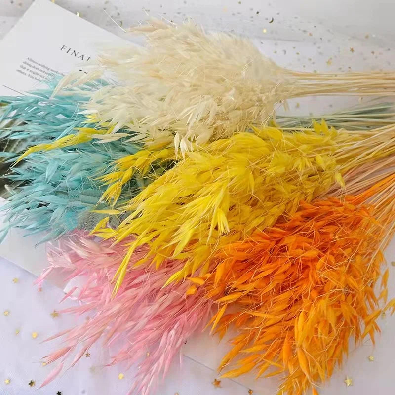 Fall Decor Natural Dried Flowers Floral Arrangement Herb Bunches Milky Oats Dried Avena Oat Flowers