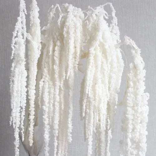 Factory Direct Price Decorative Dried Flowers Real Long Lasting Red Hanging Amaranthus for Wedding Bouquet