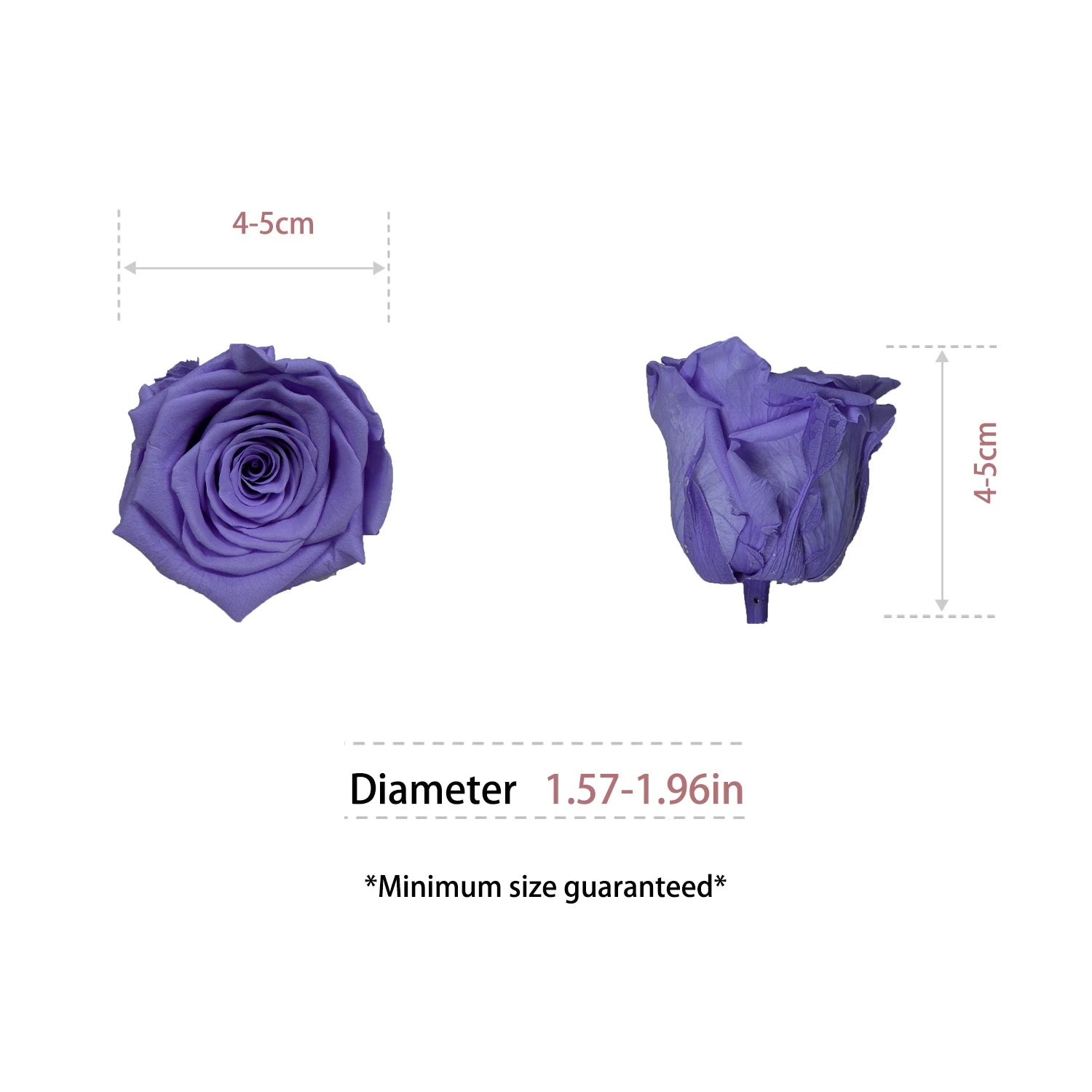 Infinity Long Lasting Dried Forever Eternal Flower Buds Preserved Roses Head for Flower Decoration