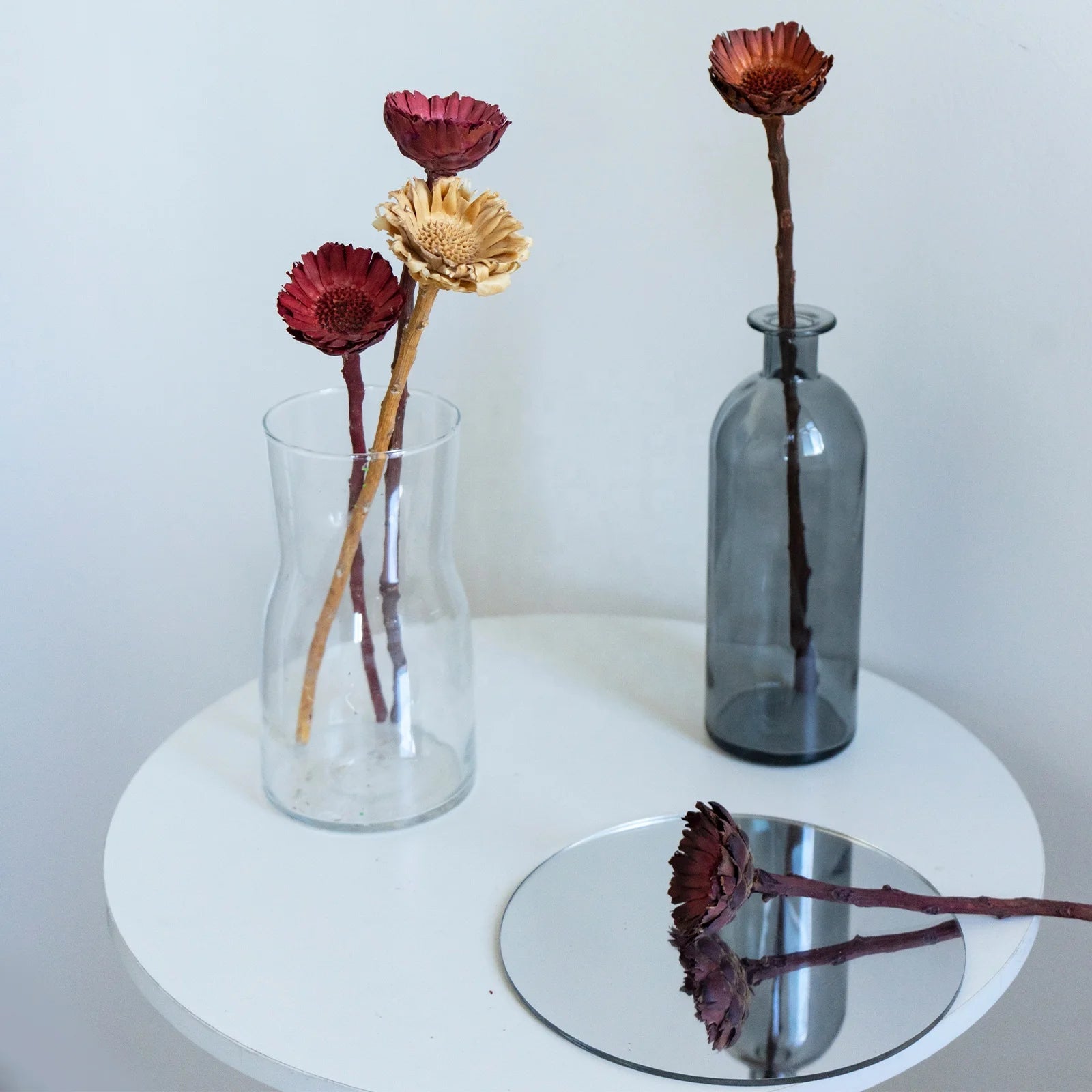 Natural Dried Flowers Fall Decor Protea Compacta Branches Dried Protea Rosette
