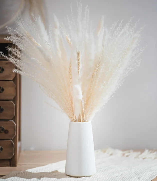 Boho Decor Bunny tails Pampass Dried Flower Arrangements Lagurus Ovatus Tall Pampas Pompas Grass Bouquet
