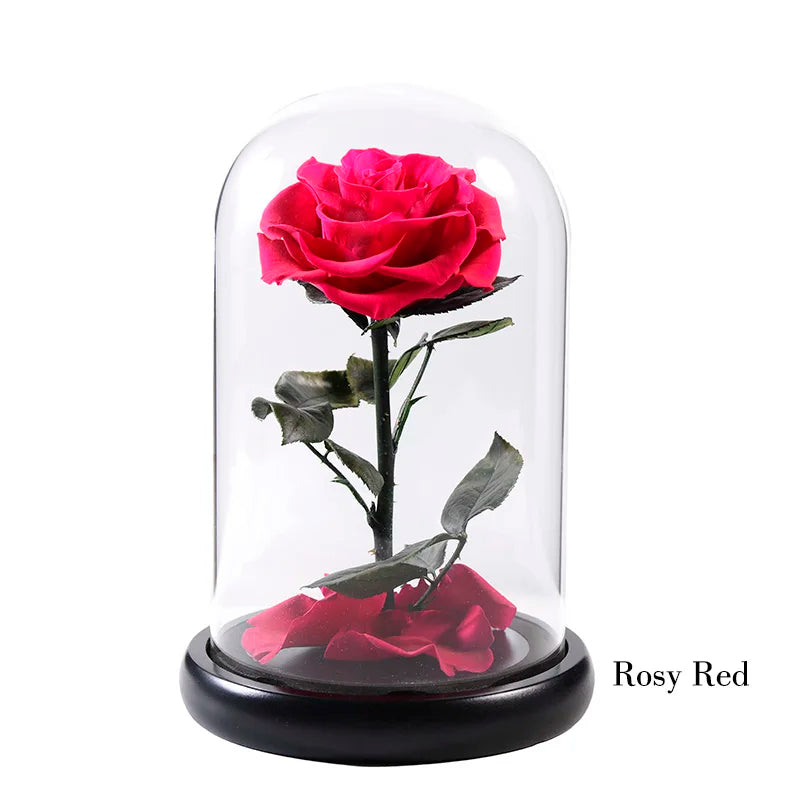 Wholesale Flor Eterna Preservada Glass Dome Black Single Preserved Beast Rose with flower long stem