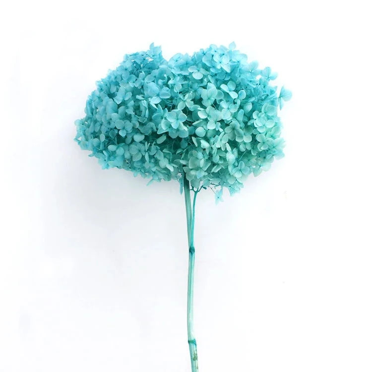 wholesale real touch hydrangea bouquet flower heads hortensias bush purple dried preserved hydrangea