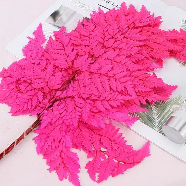 10pcs Natural Fresh Eternal Flower Preserved Fiddlehead Ferns Leaves for Wedding Dome Decoration Accessories