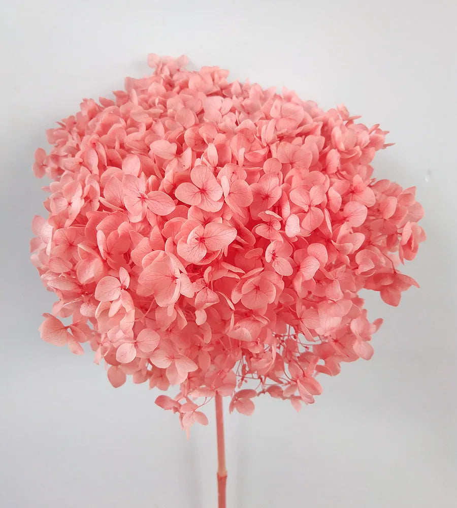 Wholesale Pink Purple hydrangea hortensias bouquet real touch hydrangea flowers