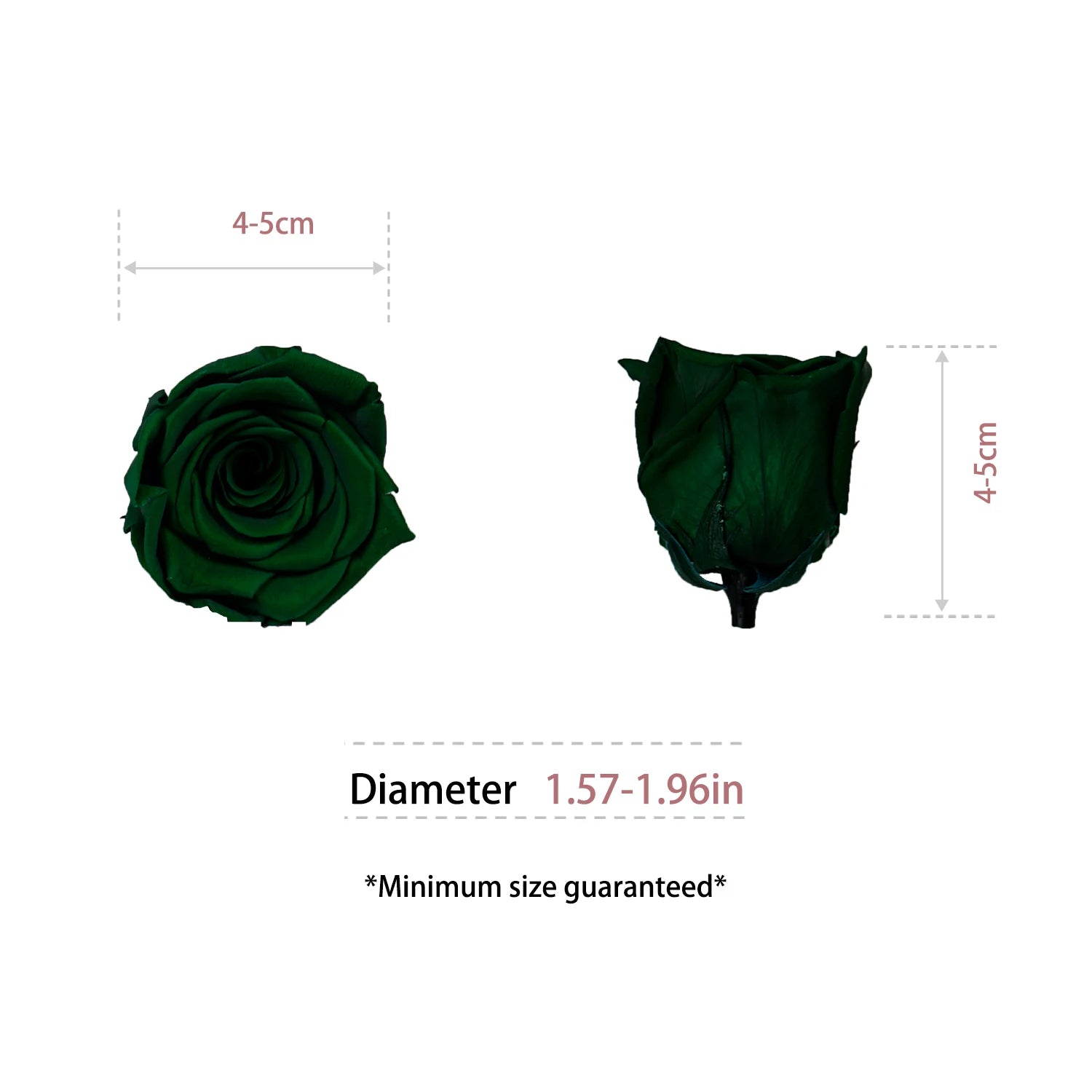 Infinity Long Lasting Dried Forever Eternal Flower Buds Preserved Roses Head for Flower Decoration