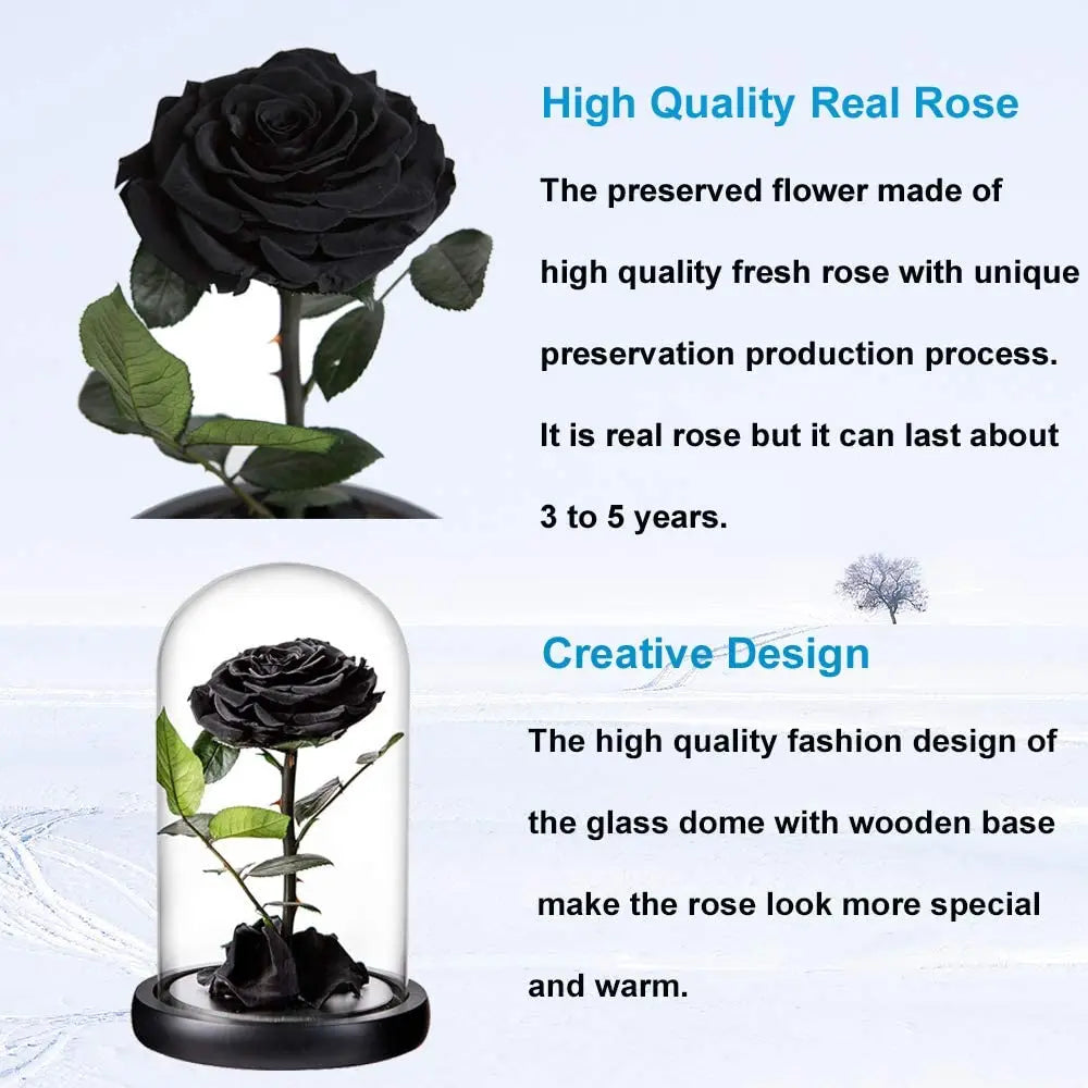 Wholesale Flor Eterna Preservada Glass Dome Black Single Preserved Beast Rose with flower long stem