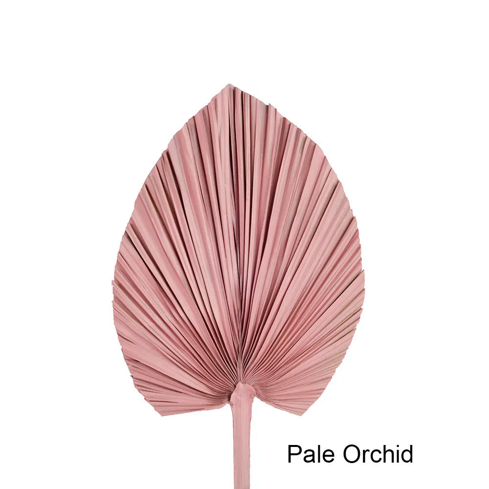 Wholesale Real Natural Blue Palm Spears Preserved Arrow Foliage Stabilized Plants Dried Palm Leaves