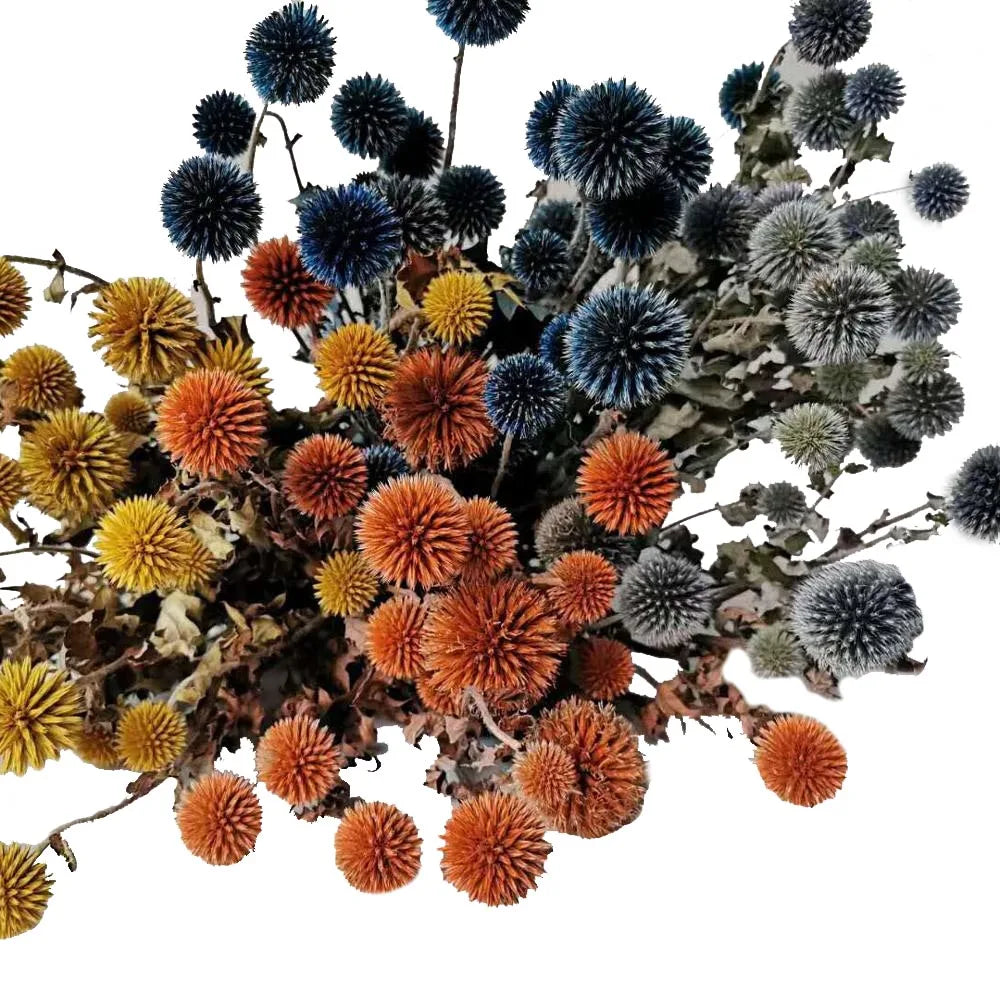 Ins Hot Selling Blue Thistle Dried Flowers Tinted Eryngium Dry Preserved Flowers Echinops