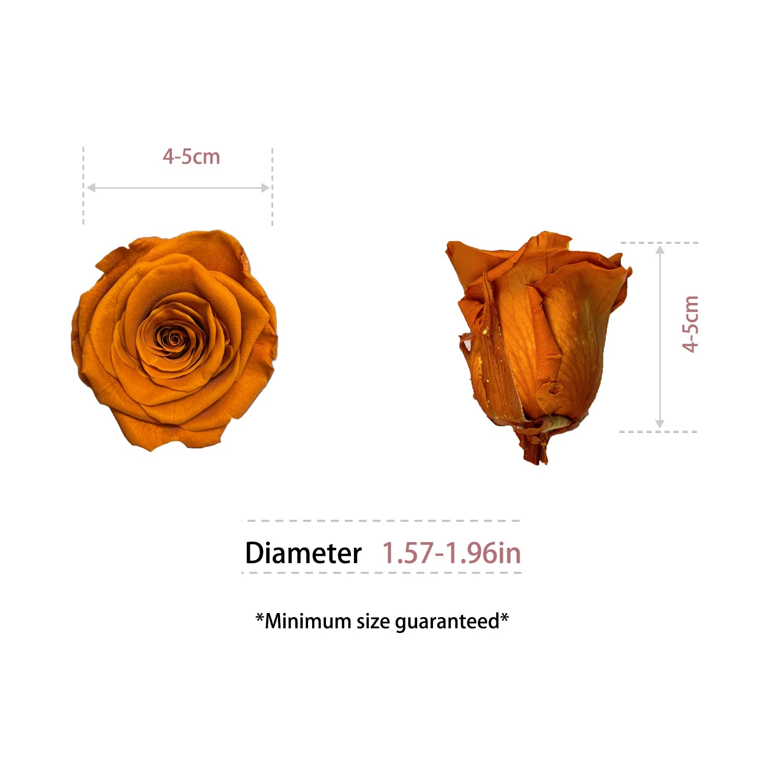 Infinity Long Lasting Dried Forever Eternal Flower Buds Preserved Roses Head for Flower Decoration
