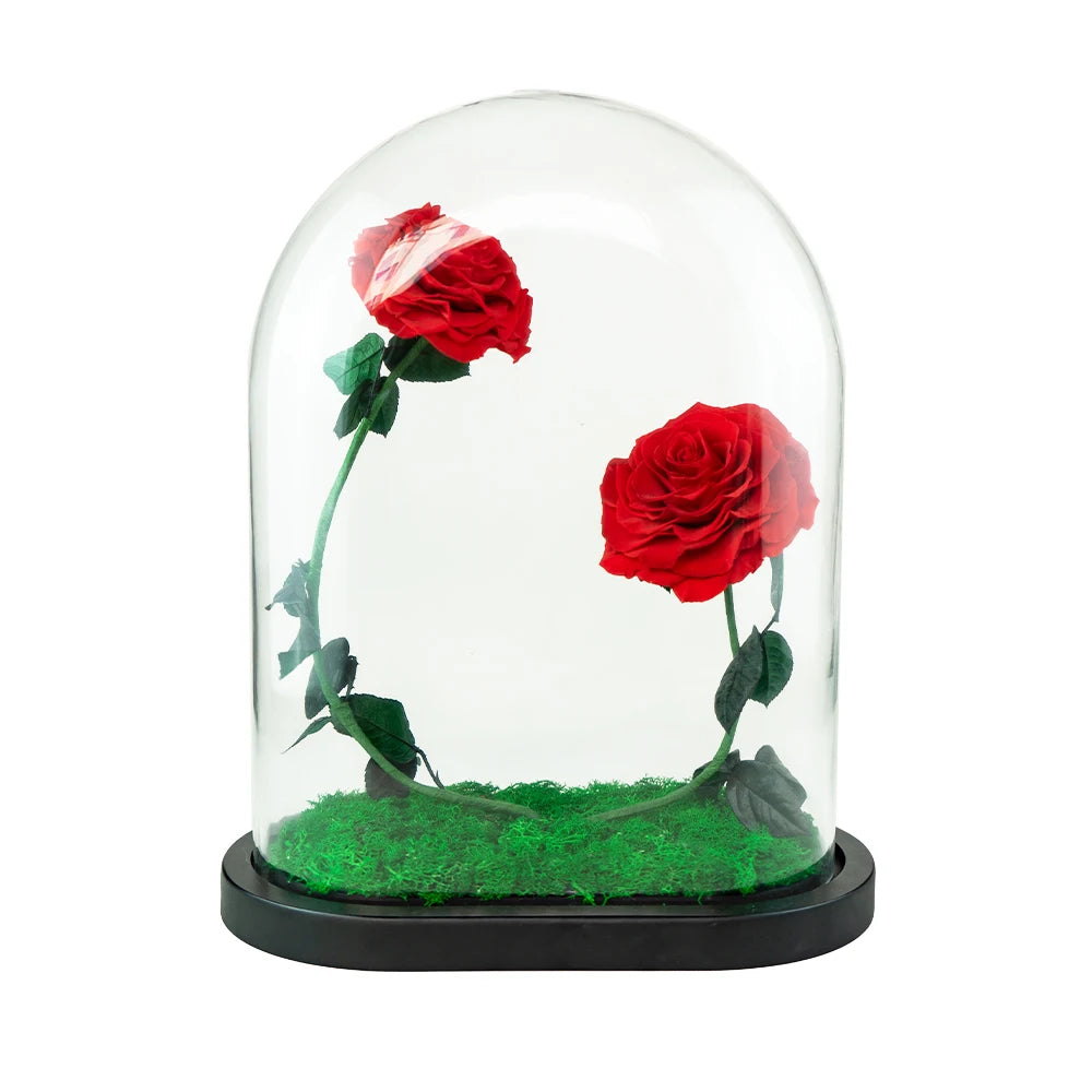 Wholesale Valentines Day Flower Gift Real Long Lasting Eternal immortal Infinity Eternal Forever Preserved Rose in Box