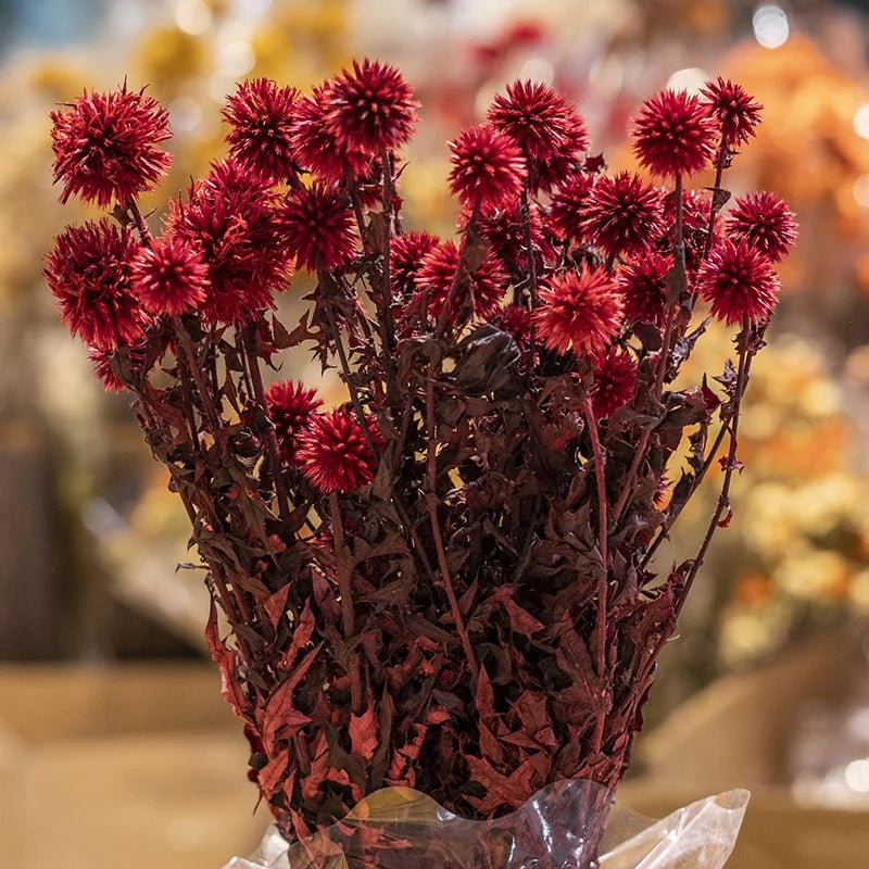 Ins Hot Selling Blue Thistle Dried Flowers Tinted Eryngium Dry Preserved Flowers Echinops