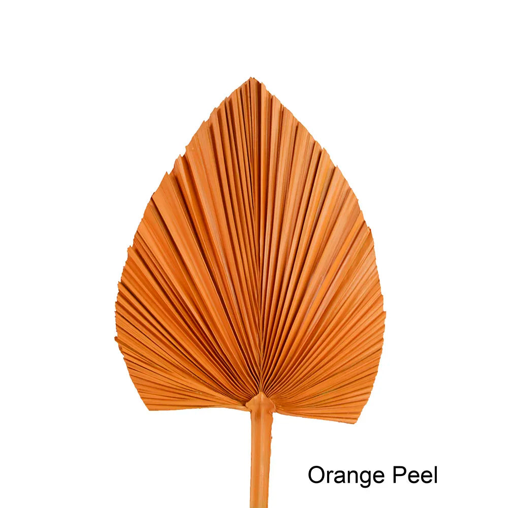 Wholesale Real Natural Blue Palm Spears Preserved Arrow Foliage Stabilized Plants Dried Palm Leaves