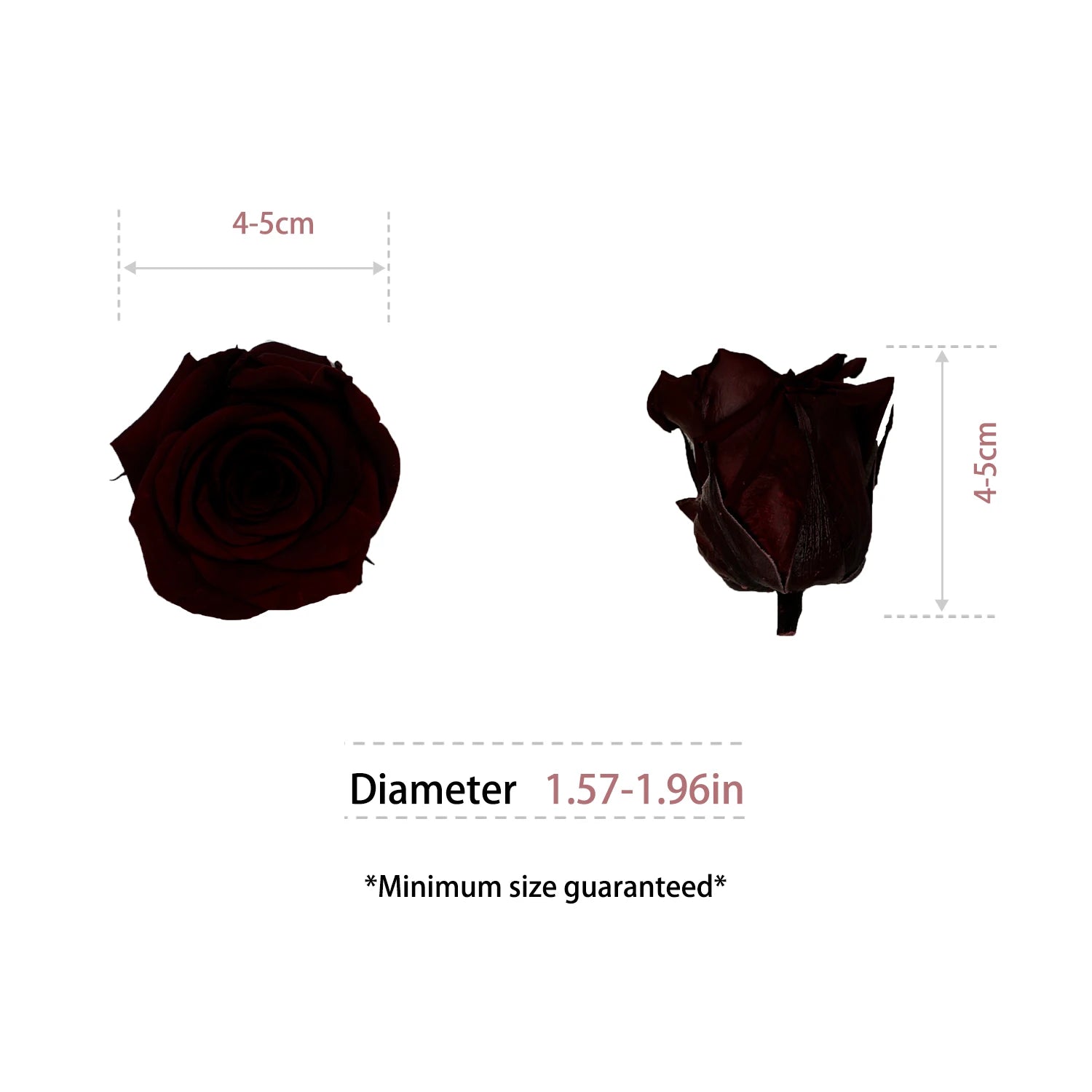 Infinity Long Lasting Dried Forever Eternal Flower Buds Preserved Roses Head for Flower Decoration