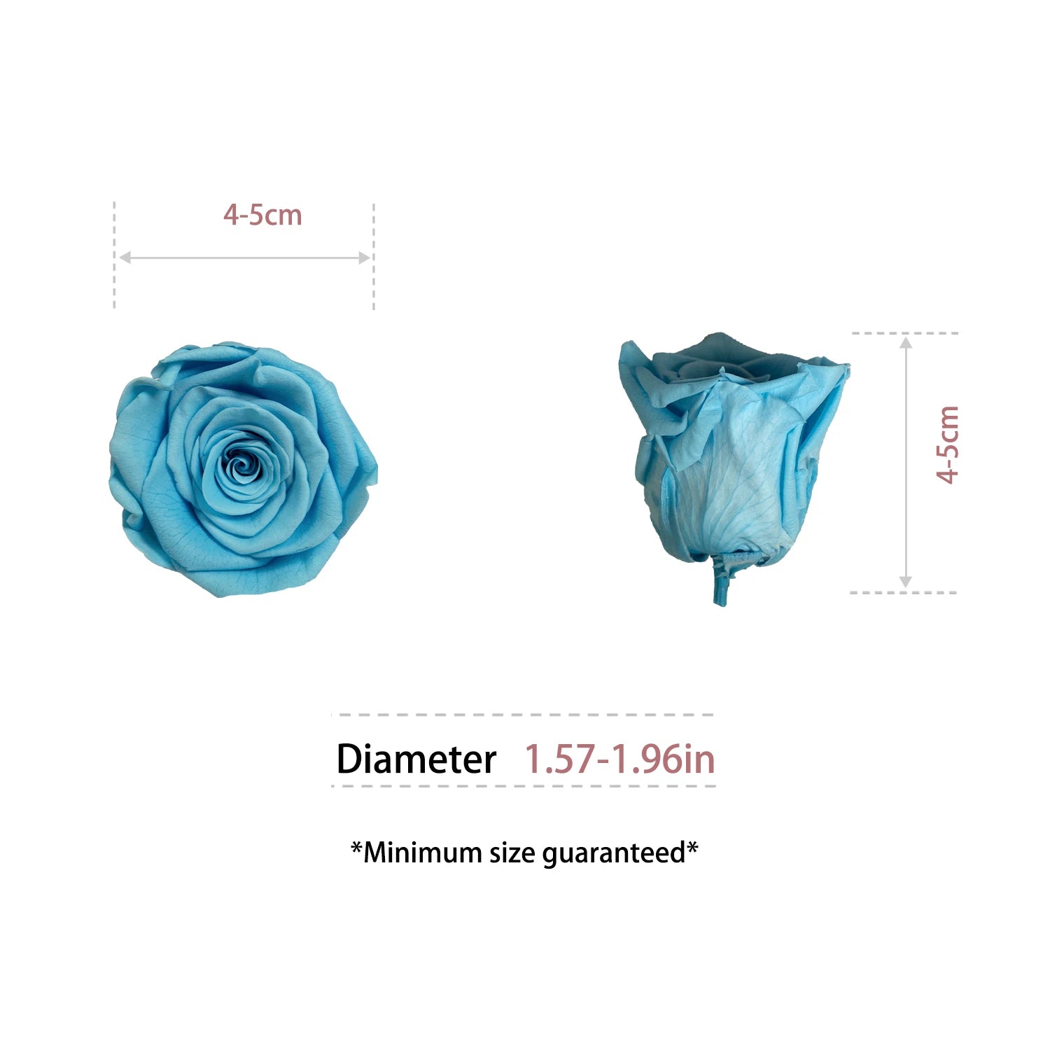 Infinity Long Lasting Dried Forever Eternal Flower Buds Preserved Roses Head for Flower Decoration