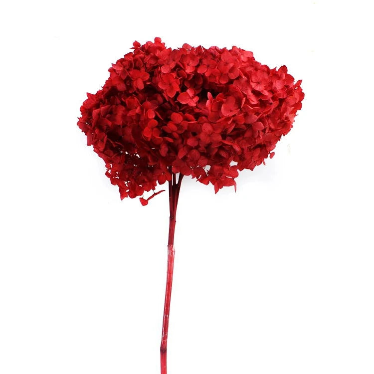 wholesale real touch hydrangea bouquet flower heads hortensias bush purple dried preserved hydrangea