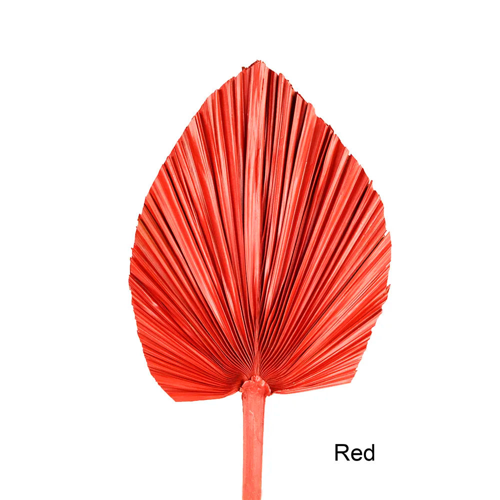 Wholesale Real Natural Blue Palm Spears Preserved Arrow Foliage Stabilized Plants Dried Palm Leaves