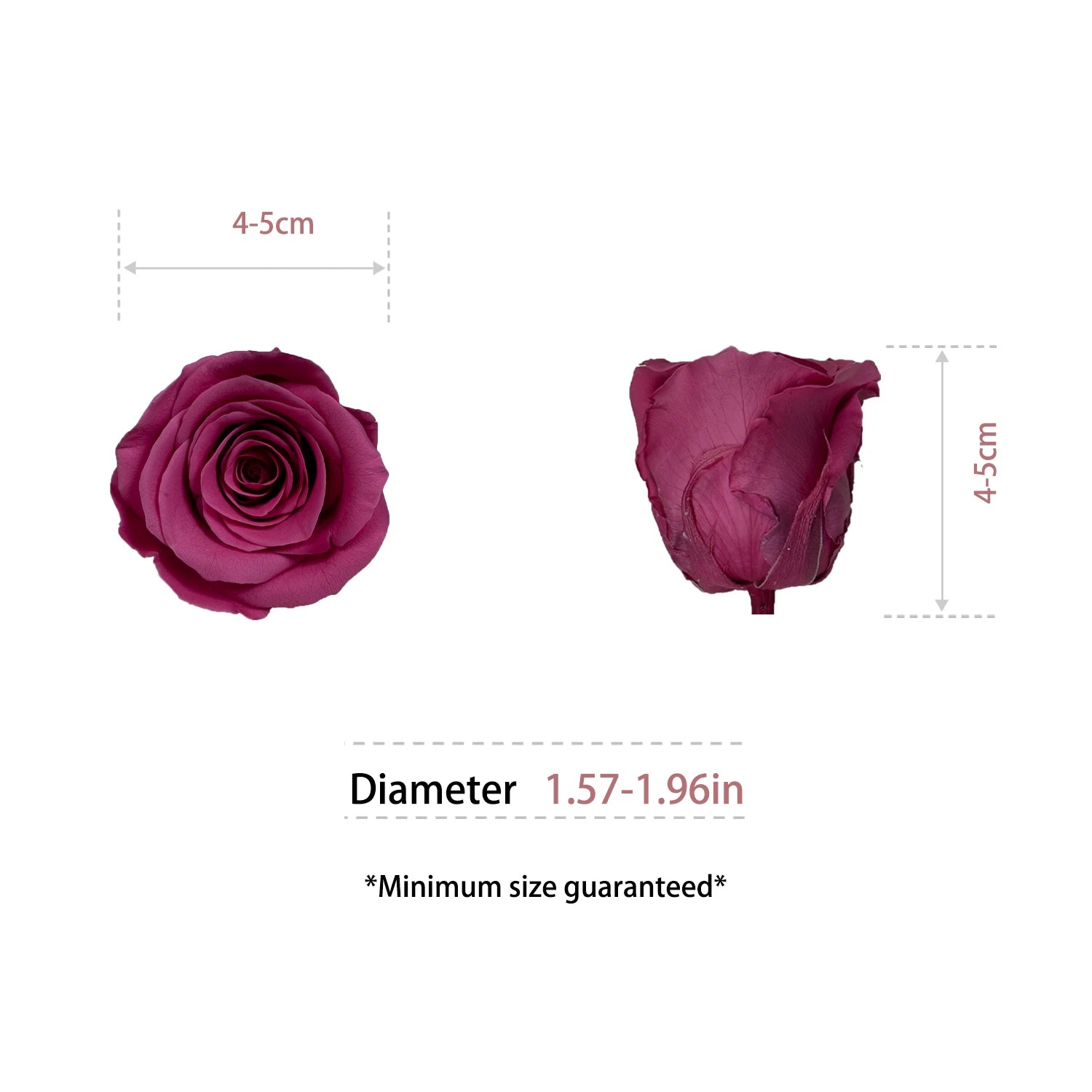 Infinity Long Lasting Dried Forever Eternal Flower Buds Preserved Roses Head for Flower Decoration