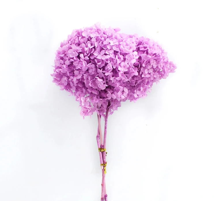 wholesale real touch hydrangea bouquet flower heads hortensias bush purple dried preserved hydrangea