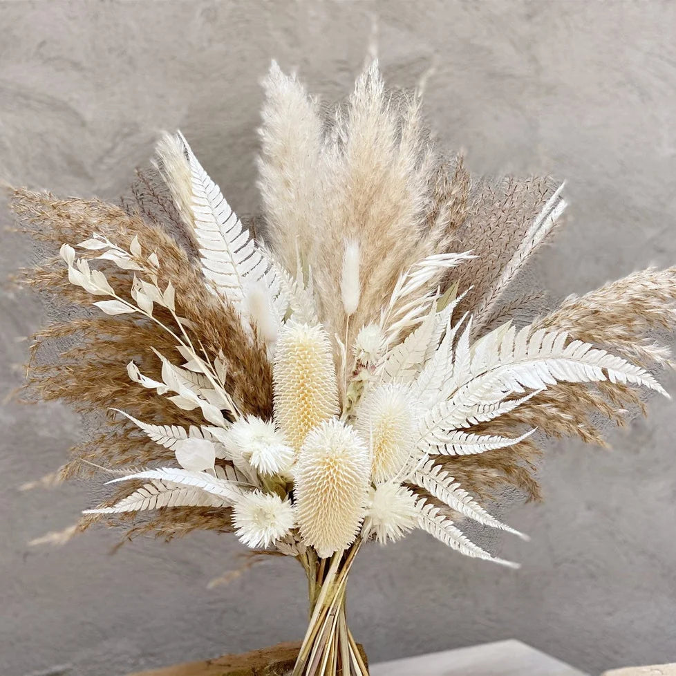 Boho Decor Bunny tails Pampass Dried Flower Arrangements Lagurus Ovatus Tall Pampas Pompas Grass Bouquet