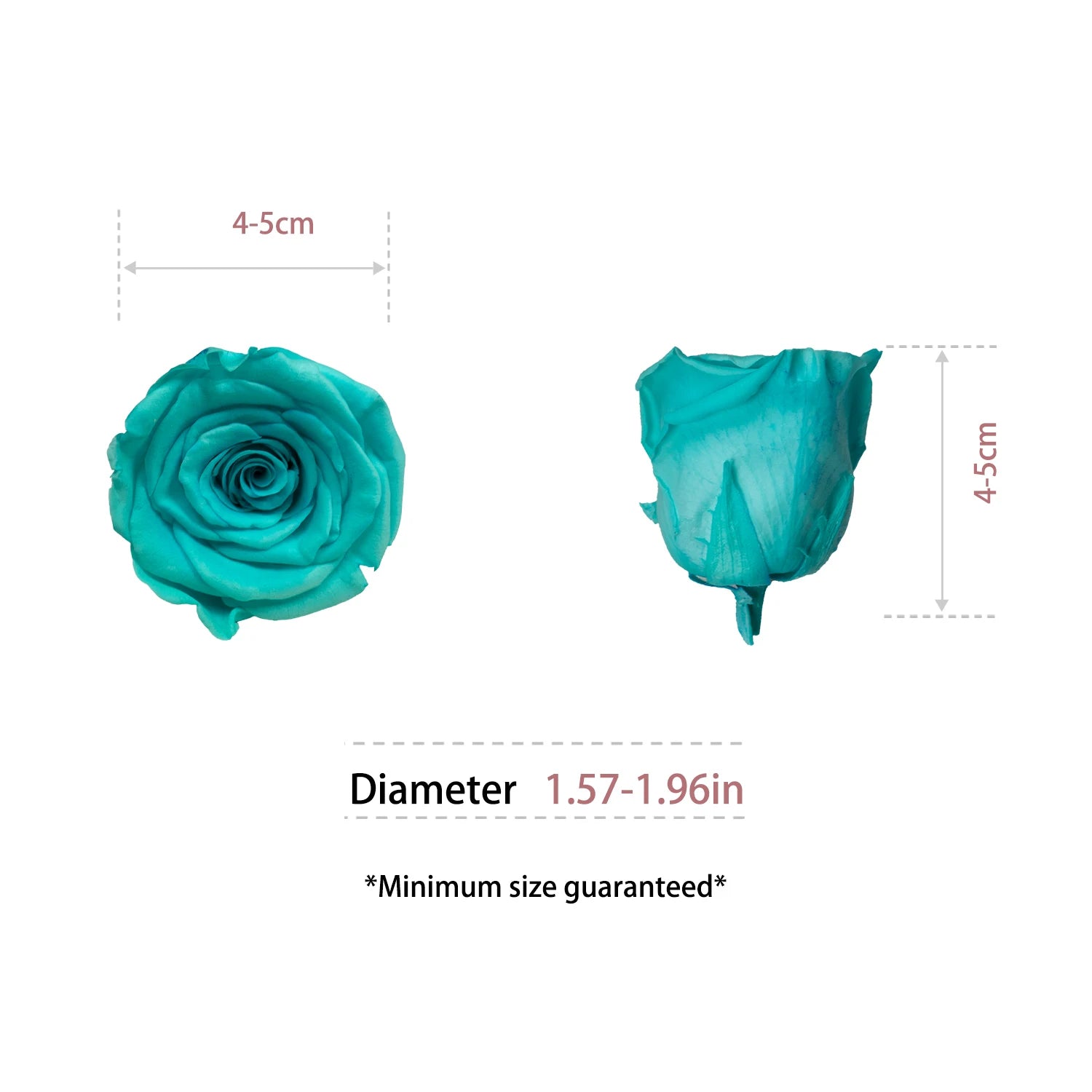 Infinity Long Lasting Dried Forever Eternal Flower Buds Preserved Roses Head for Flower Decoration